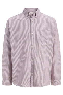 Camisa Oxford estampada manga larga