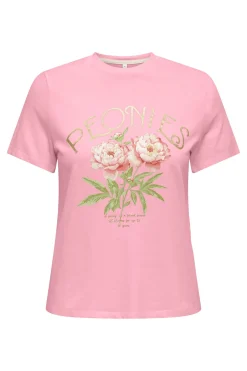 Camiseta dibujo frontal