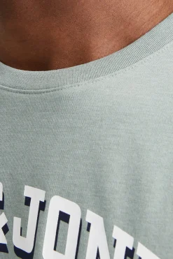 Camiseta est&aacute;ndar fit