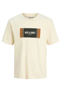 Camiseta regular fit estampada
