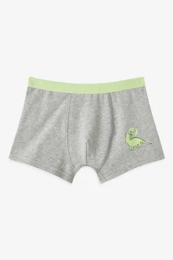 Pack 3 boxers dino rayas