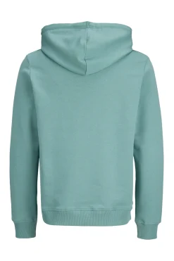 Sudadera con capucha regular