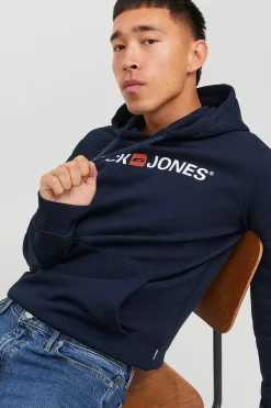 Sudadera logo capucha